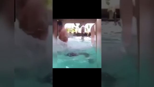 Funniest video ever. Let_s laugh together. _funnycompilationvideos _funniestvideosever _funnyshorts смотреть онлайн