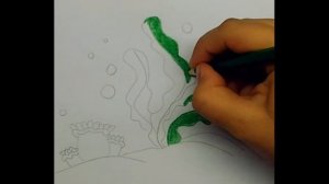 Как нарисовать водоросли