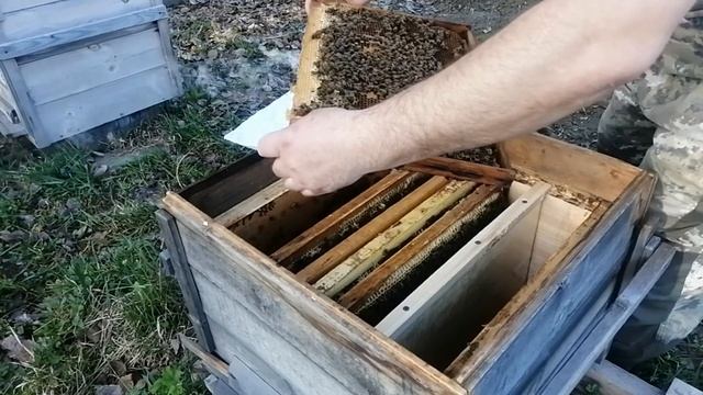 Расширение гнезда вощиной смотреть онлайн