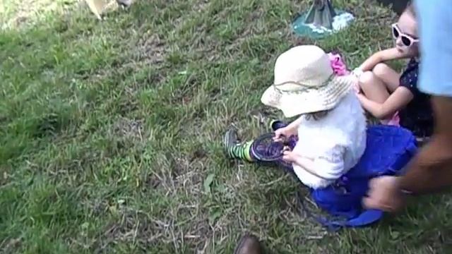 Alresford country show 2018. Изготовка подковы. Примерка. Педикюр и подковка лошади. смотреть онлайн