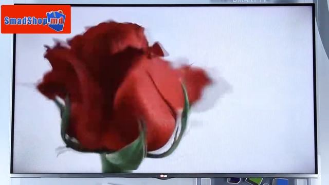 Видео-обзор 3D LED телевизоров LG 670-серии смотреть онлайн