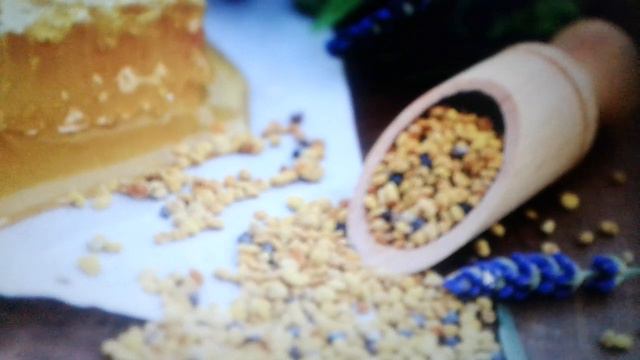 Пыльца пчелиная: полезные свойства и применение.