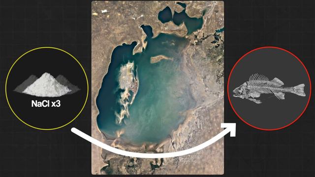 The Aral Sea Ecological Disaster