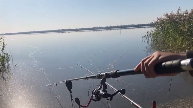 Рыбалка! Кураховское водохранилище! смотреть онлайн