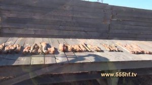 Копчение сома с Евгением Токаревым.