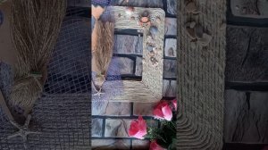 DIY.???Настенное панно своими руками.Панно из джута.Морская тема.#поделки#поделкиизджута