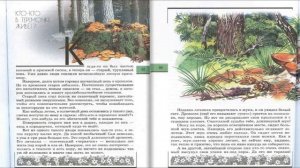 Кто-кто в теремочке живет? Великан на поляне