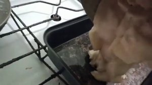 Шарлотка на кефире. Очень вкусно и быстро