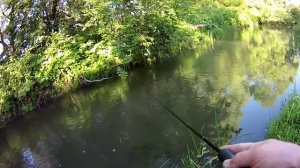 Со спиннингом по Тульской области.   FAMILY FISHING #98#