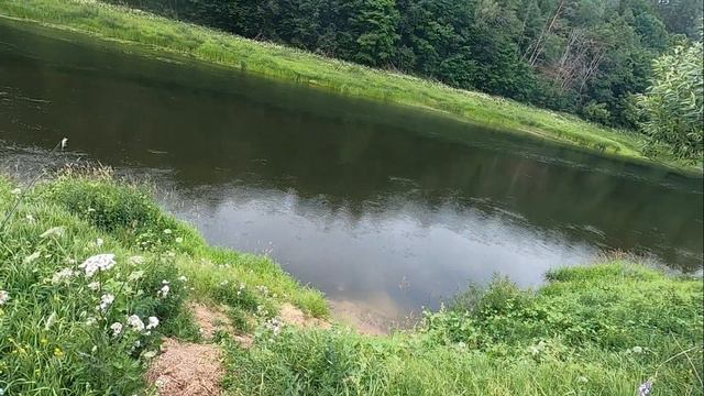 Сезон диких рыбалок. Июльская Угра смотреть онлайн