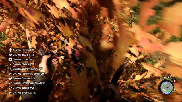 КАК ПОСТРОИТЬ БАЗУ В SONS OF THE FOREST смотреть онлайн