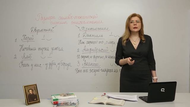 ЕГЭ. Литература. #Урок9. Системы стихосложения смотреть онлайн