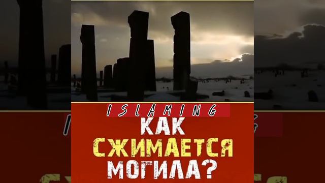 КОГО НЕ СОЖМЕТ МОГИЛА! #ислам #хадис #религия#пророкмухаммад #пророк#хадж #умма#сунна #суннапророка смотреть онлайн