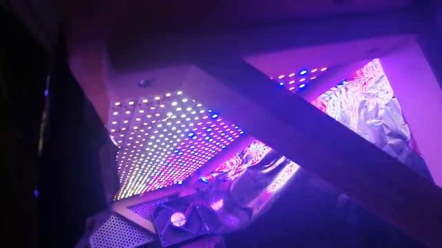 Плантация. смотреть онлайн