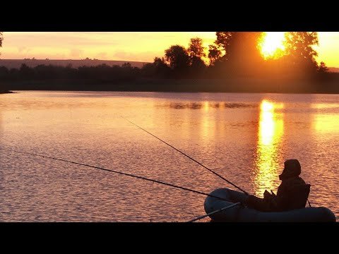 Отдых, рыбалка(Курья)