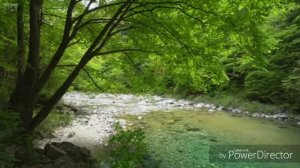 Медитация " любовь к своему внутреннему ребенку, как  его любить" Луиза Хей
