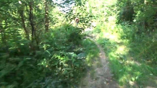 Велосипедный маршрут Зеленограда - Истра - Зеленоград. 90 км. Зеленоград-