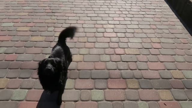 VLOG Завтра ДР у КОСТИ.🛑 Насте можно открывать свой ресторан смотреть онлайн