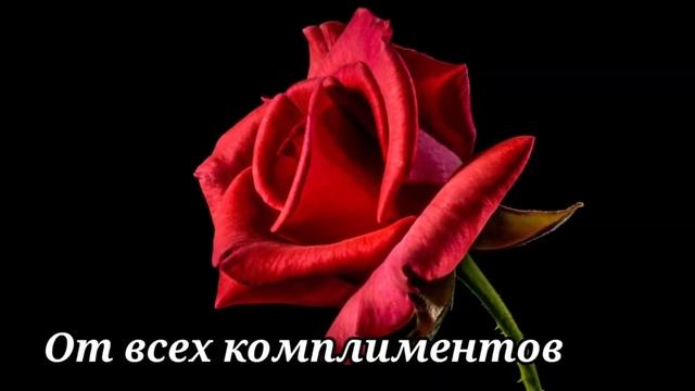 С Днём Рождения, Светлана Викторовна!