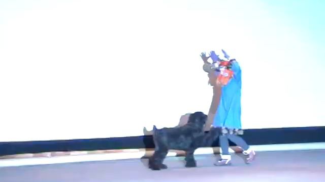 Мыльникова Екатерина и Хельга Фристайл Дебют 1 место. смотреть онлайн