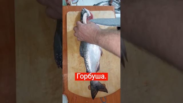как приготовить горбушу к копчению смотреть онлайн