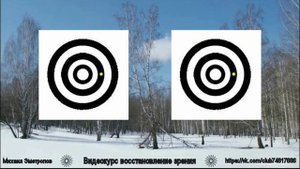 Восстановление зрения . Видеокурс . Эметропов Михаил.