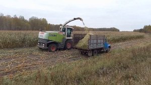 Уборка кукурузы сезон 2022