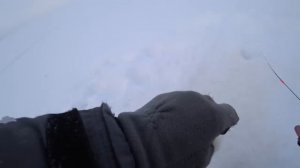 НА ПРАВЫЙ ГЛАЗ КРУПНЕЕ ОКУНЬ КЛЕВАЛ ЧЕМ НА ЛЕВЫЙ. РЫБАЛКА НА ОЗЕРЕ