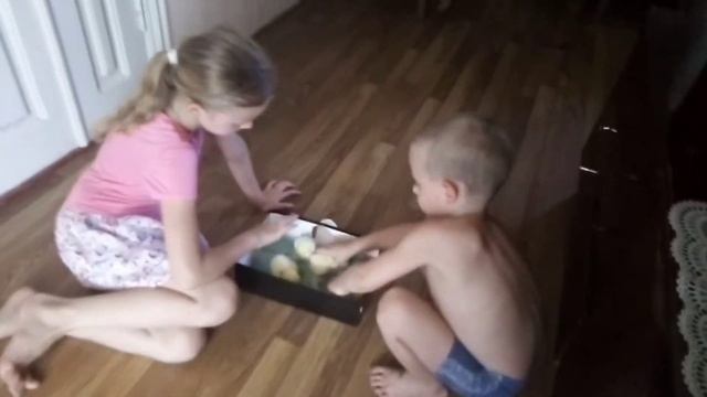Учимся выращивать цыплят смотреть онлайн