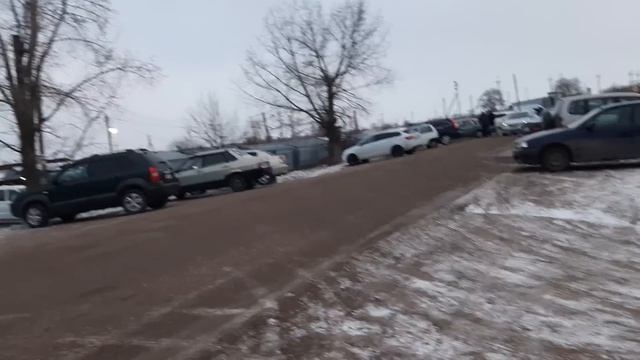 Я КОЗОВ купила.Опять. 3 штуки! смотреть онлайн