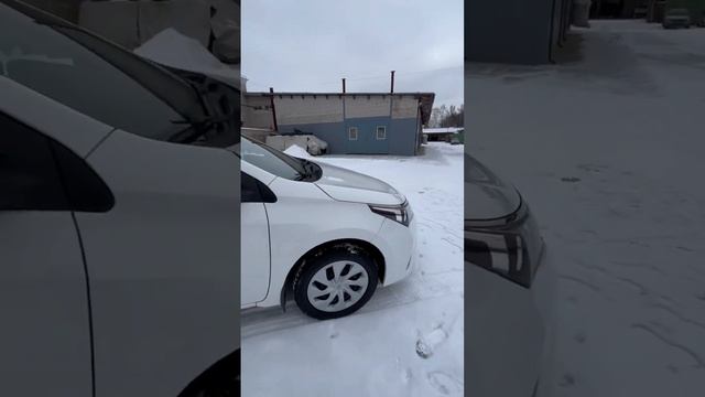 Надежный Японец в продаже. #тойота #тойотакоролла #автомобилиспробегом #авто