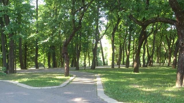 Почему ГОРДЫНЯ это ПСИХИЧЕСКОЕ ЗАБОЛЕВАНИЕ смотреть онлайн