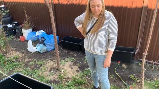 КУПИЛИ КОНТЕЙНЕРЫ ДЛЯ ПОСАДКИ КЛУБНИКИ выращивание клубники в подвесных контейнерах