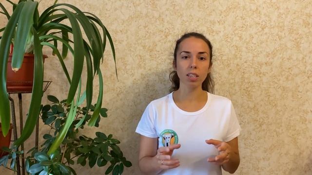 Три принципа осознанного потребления 3RE смотреть онлайн