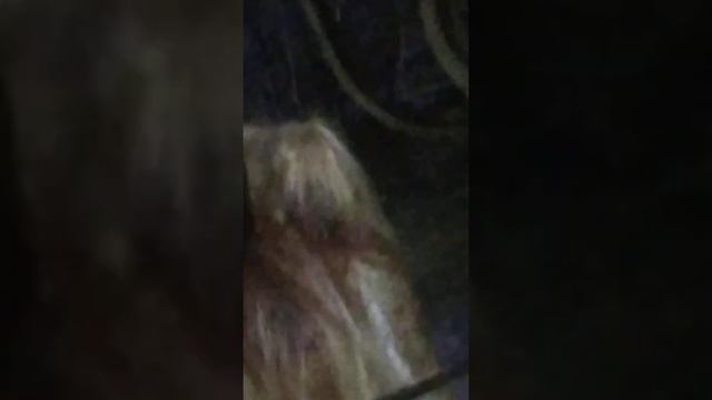 кикимора болотная ? смотреть онлайн