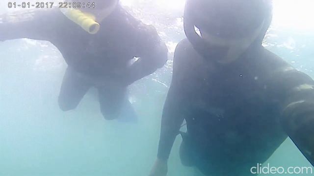 ПЕРВОЕ АПНОЕ РЕБЁНКА. ПРИВЫКАНИЕ К ГЛУБИНЕ. смотреть онлайн