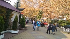 Декабрь в Сочи.