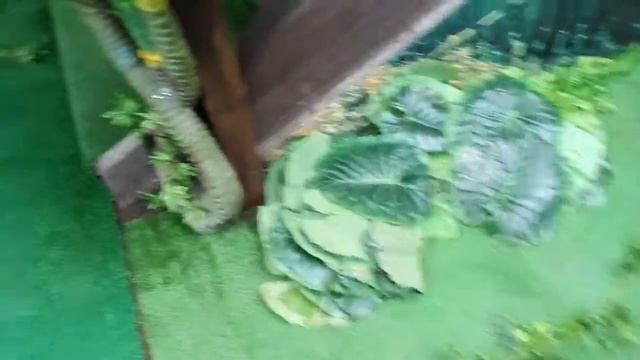 Крокодиловый каньон смотреть онлайн