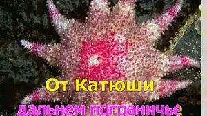 Караоке Катюша.