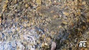 Я еду в Красную Поляну
