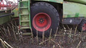 Уборка подсолнечника 2021.Class Mega 360