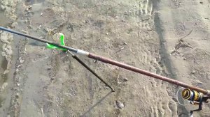 Рыбалка на Дону хутор Вертячий