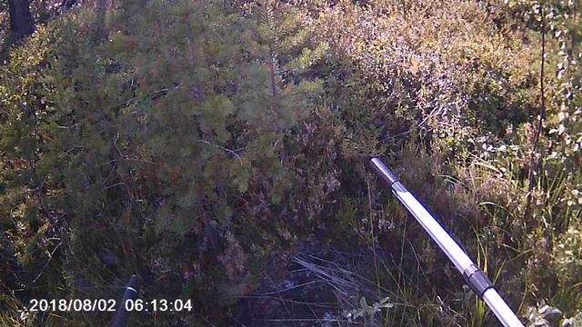 Карелия2018 смотреть онлайн