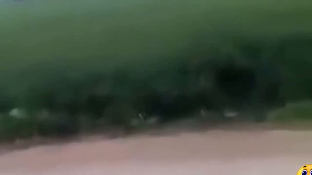 ПЬЯНЬ ПРИКОЛЫ