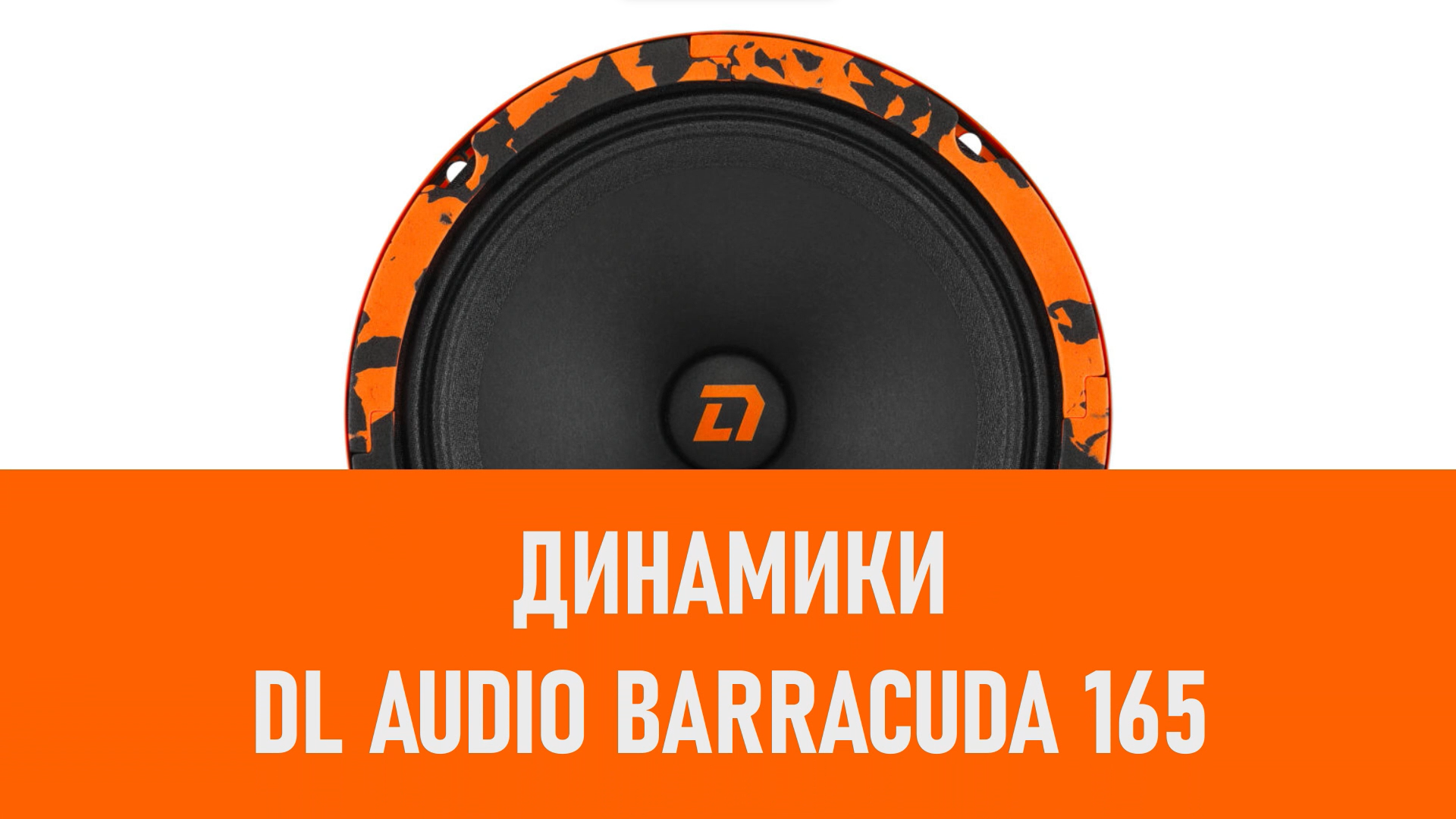 Распаковка динамиков DL Audio Barracuda 165