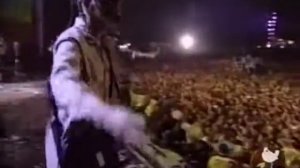 Woodstock korn adidas