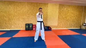 Блоки в тхэквондо.