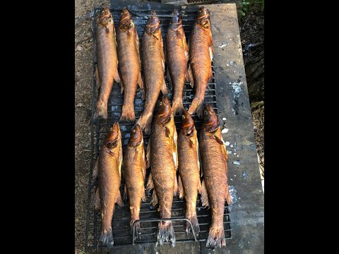 Посвящается озеру Селигер. Рыбалка на Селигере. смотреть онлайн