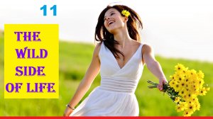 THE WILD SIDE OF LIFE - 11