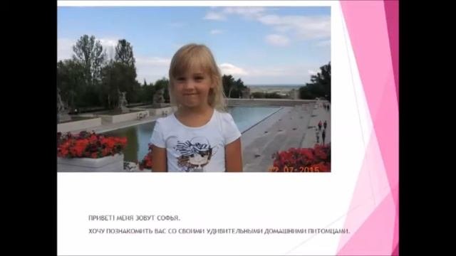 Удивительные животные